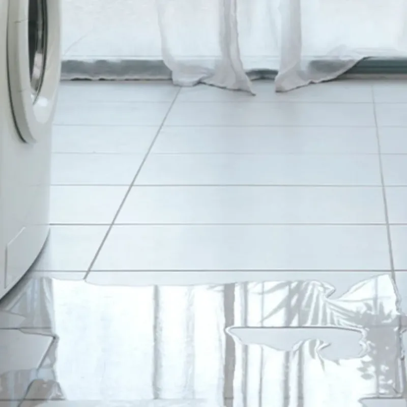 Appliance Leak Cleanup in Thurmond, NC