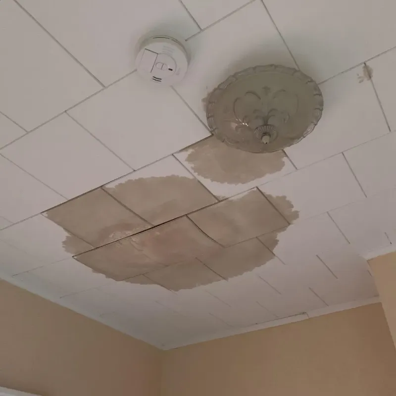 Ceiling Water Damage Repair in Thurmond, NC
