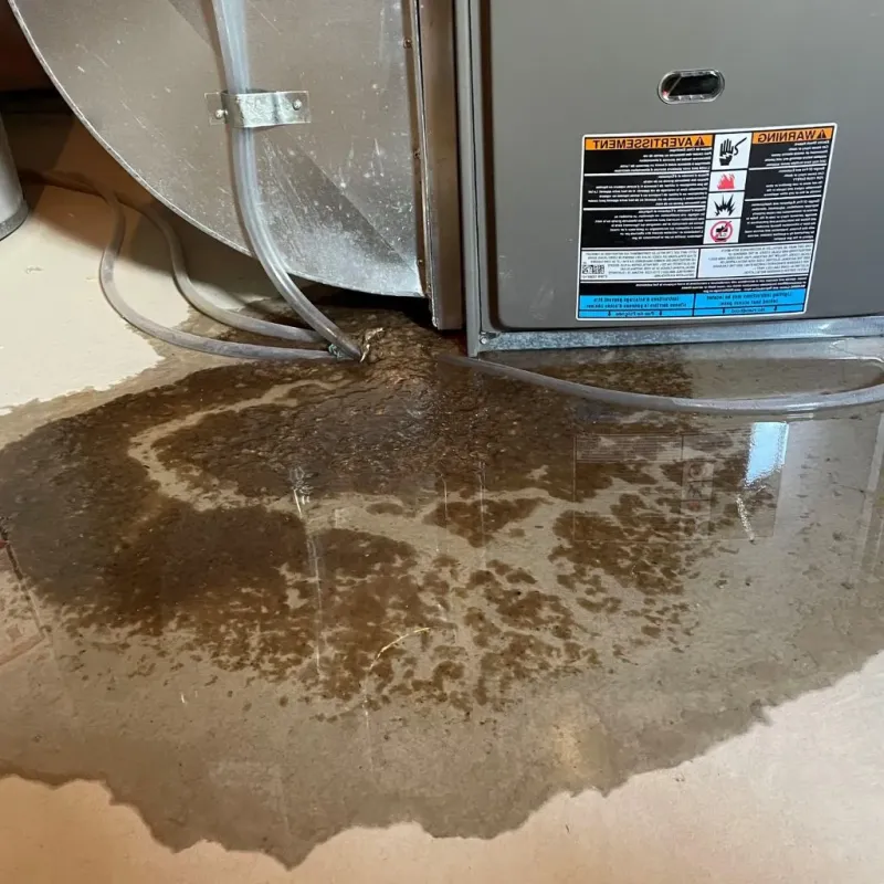 Pipe Burst and Leak Restoration in Thurmond, NC
