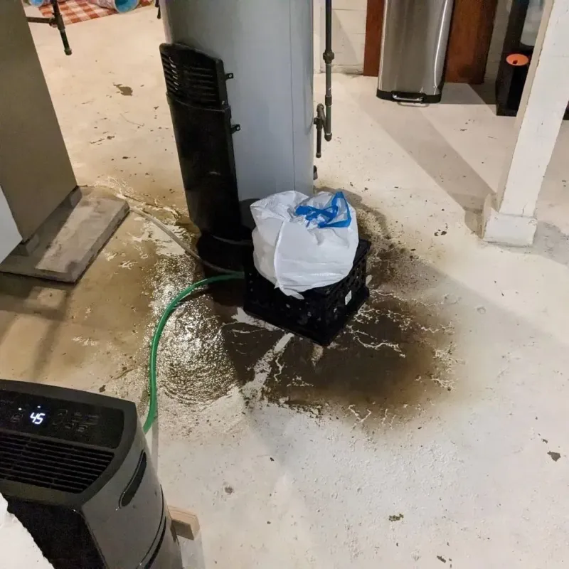 Sewage Backup Cleanup Service in Thurmond, NC